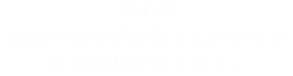 それは海水の成分がお母さんの羊水とほぼ同じだからです。