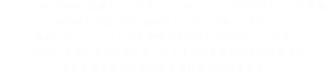 フランスの北西部に位置するブルターニュ地方は、大西洋に突き出した半島。潮の流れが速い沖の海域はイロワーズ海といわれ、極めて美しく、ユネスコ生物圏保護地域に指定されています。この海は、さまざまな海流に乗ってミネラル豊富な栄養分が集まり、多種多様な海洋性動植物を育む自然の宝庫です。